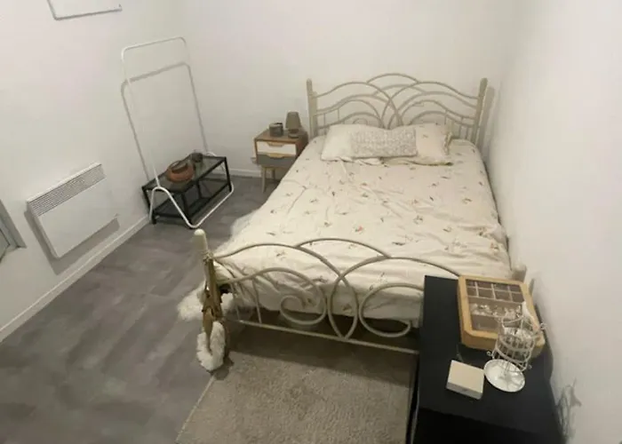 T2 Cosy Au Coeur Des Beaux-Arts