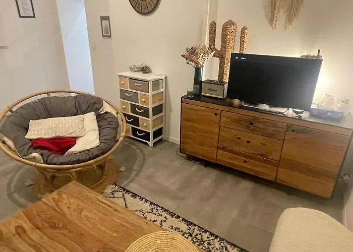 T2 Cosy Au Coeur Des Beaux-Arts